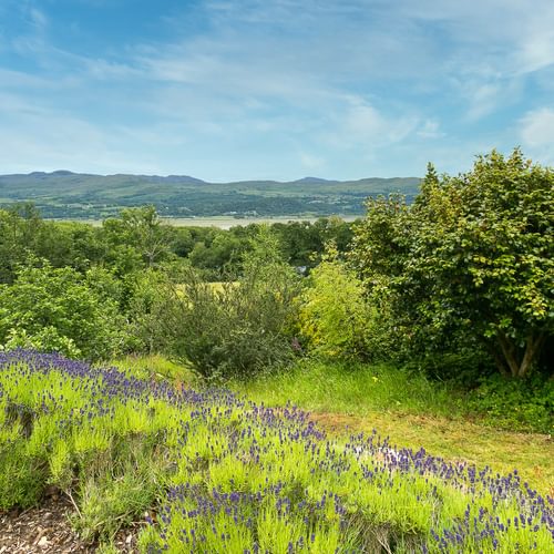 Hafod Cae Maen Minffordd Penrhyndeudraerth Gwynedd ll486 EP french 1920x1080