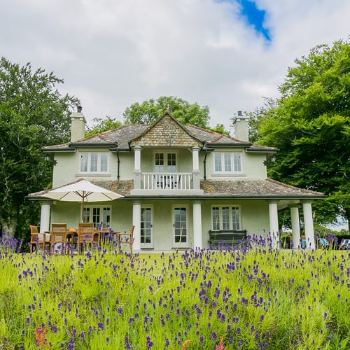 Hafod Cae Maen Minffordd Penrhyndeudraerth Gwynedd ll486 EP lavender 1920x1080