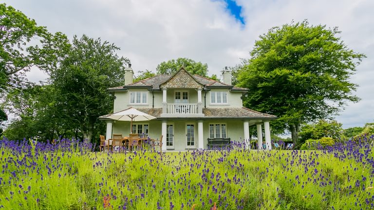 Hafod Cae Maen Minffordd Penrhyndeudraerth Gwynedd ll486 EP lavender 1920x1080