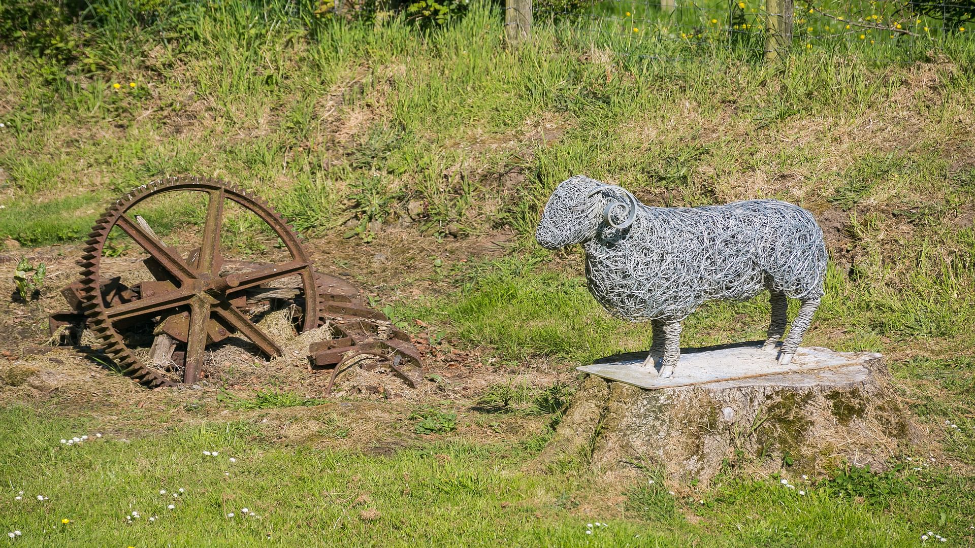 Hen Felin Rhoshirwaun Abersoch Gwynedd LL538 HS sheep 1920x1080