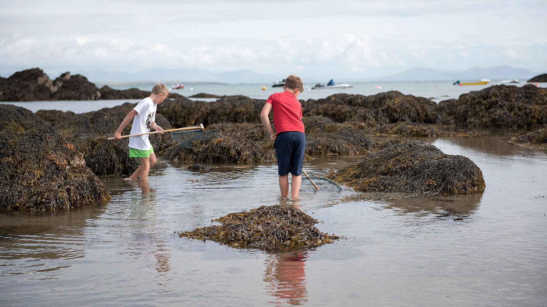 Llain y Brenin Rhoscolyn Anglesey rockpooling at borth wen beach 1920x1080