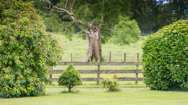 Mynydd Ednyfed Country House Caernarfon Road Criccieth LL520 PH fence 1920x1080