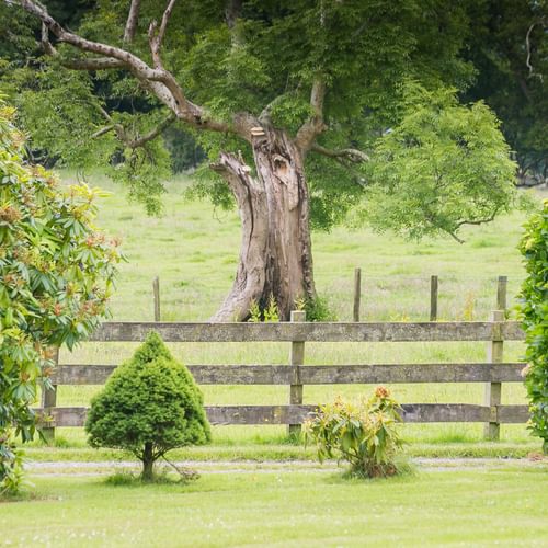 Mynydd Ednyfed Country House Caernarfon Road Criccieth LL520 PH fence 1920x1080