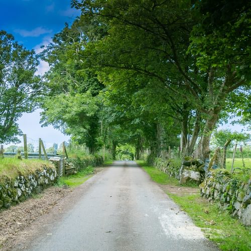 Mynydd Ednyfed Country House Caernarfon Road Criccieth LL520 PH trees 1920x1080 Copy