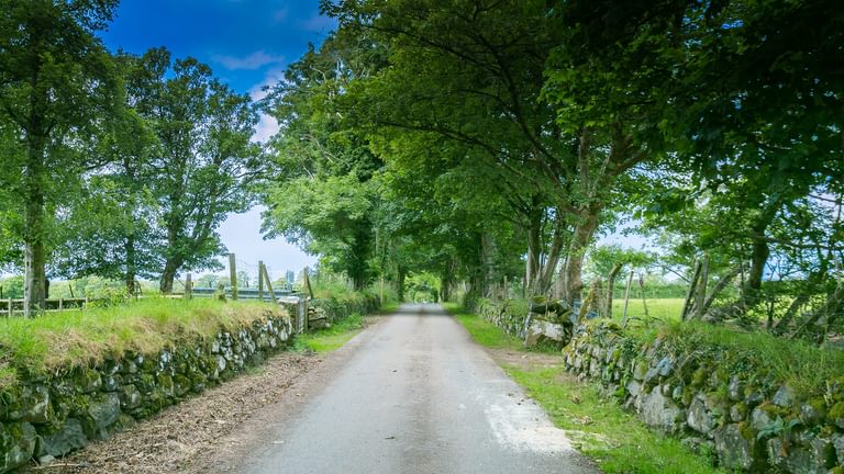 Mynydd Ednyfed Country House Caernarfon Road Criccieth LL520 PH trees 1920x1080 Copy