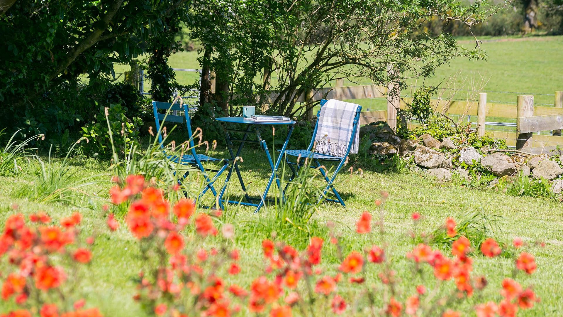 Pen y Fan Bellaf Pentraeth Anglesey garden 7 1920x1080