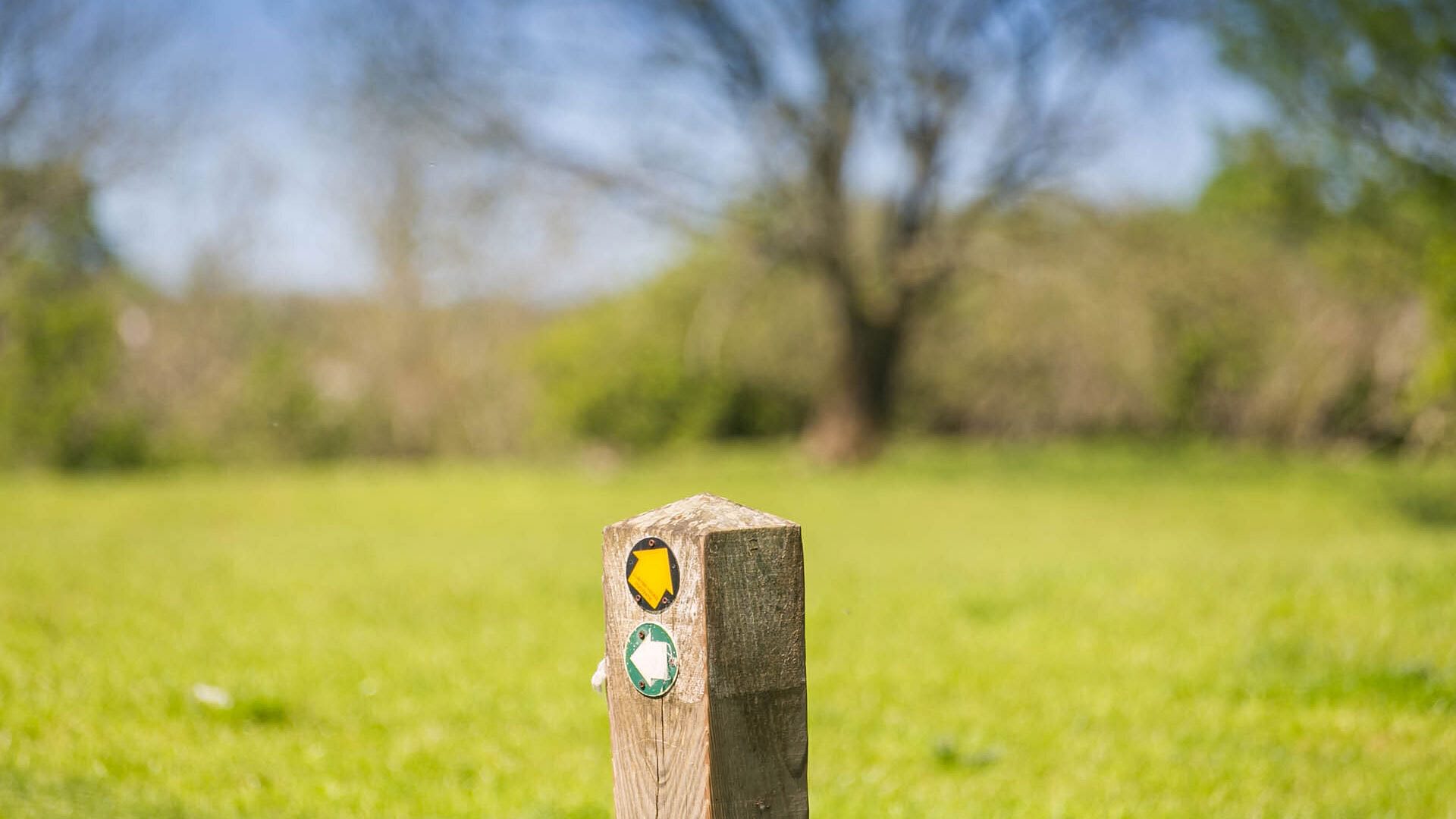 Pen y Fan Bellaf Pentraeth Anglesey footpath sign 1920x1080