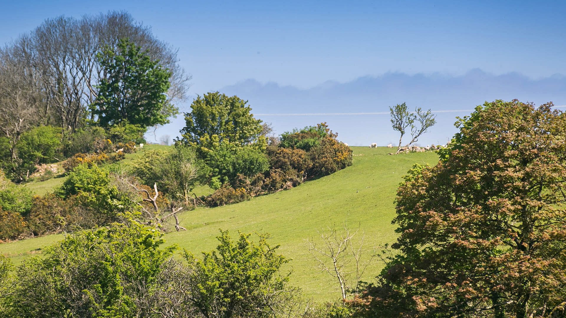 Pen y Fan Bellaf Pentraeth Anglesey rural views 6 1920x1080