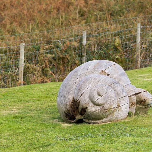 Plas Esgob Rhoscolyn Anglesey wooden snail 1920x1080