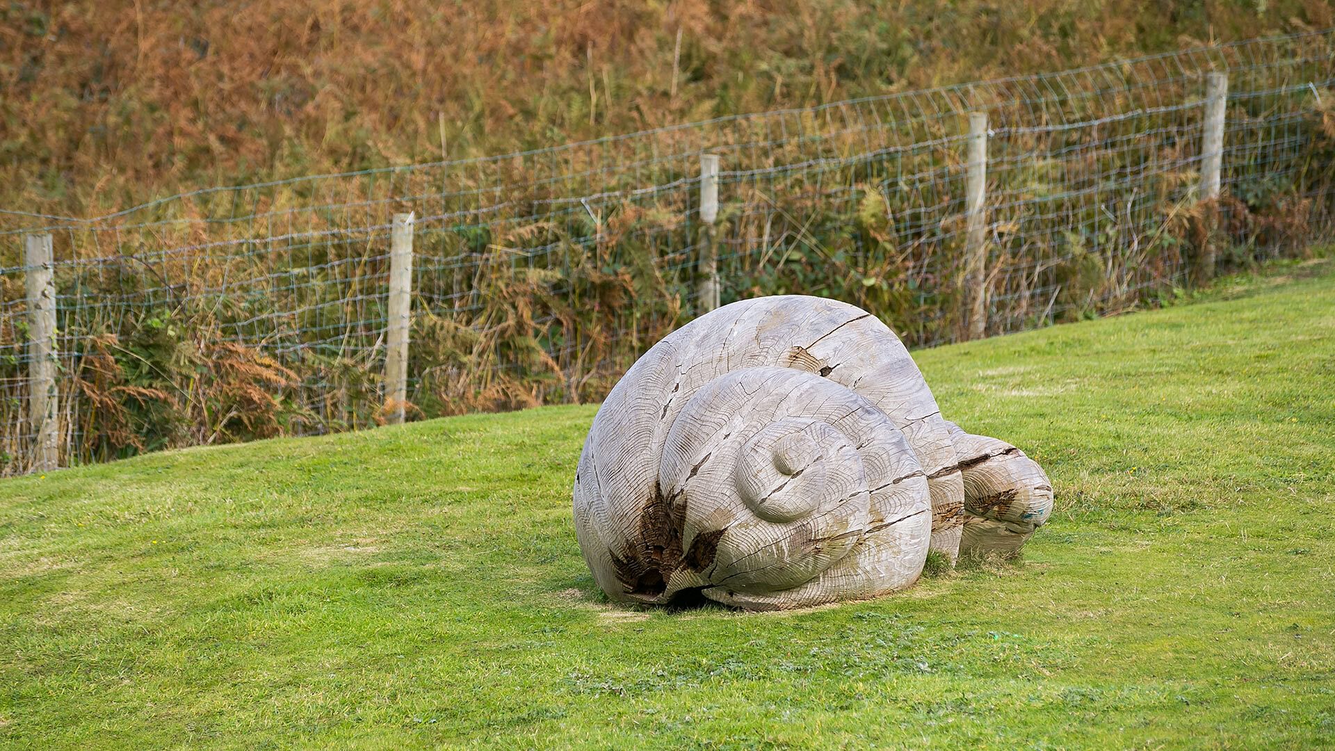 Plas Esgob Rhoscolyn Anglesey wooden snail 1920x1080