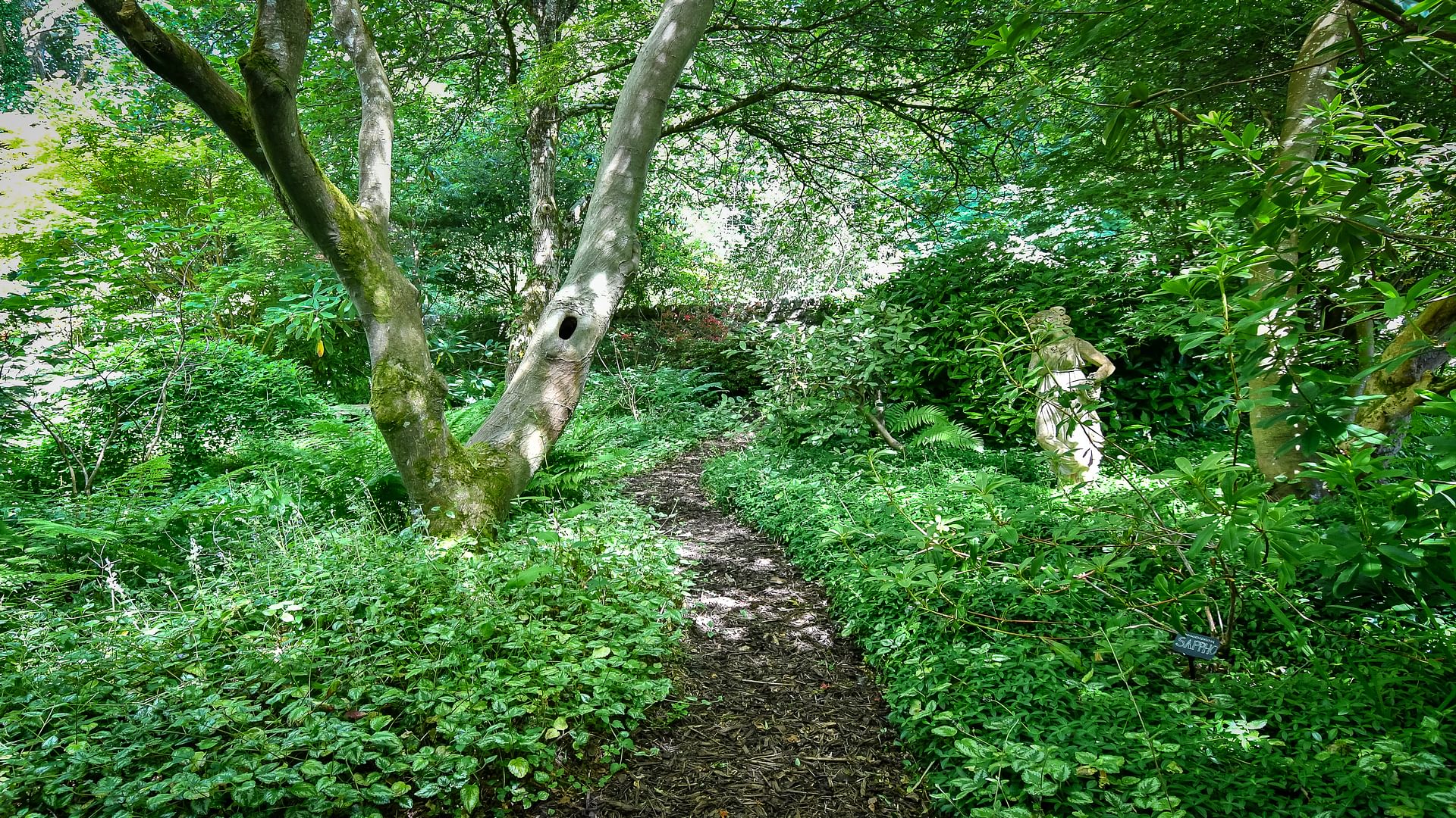 Plas Bodegroes Nefyn Road Pwllheli Gwynedd LL53 5 TH path 1920x1080