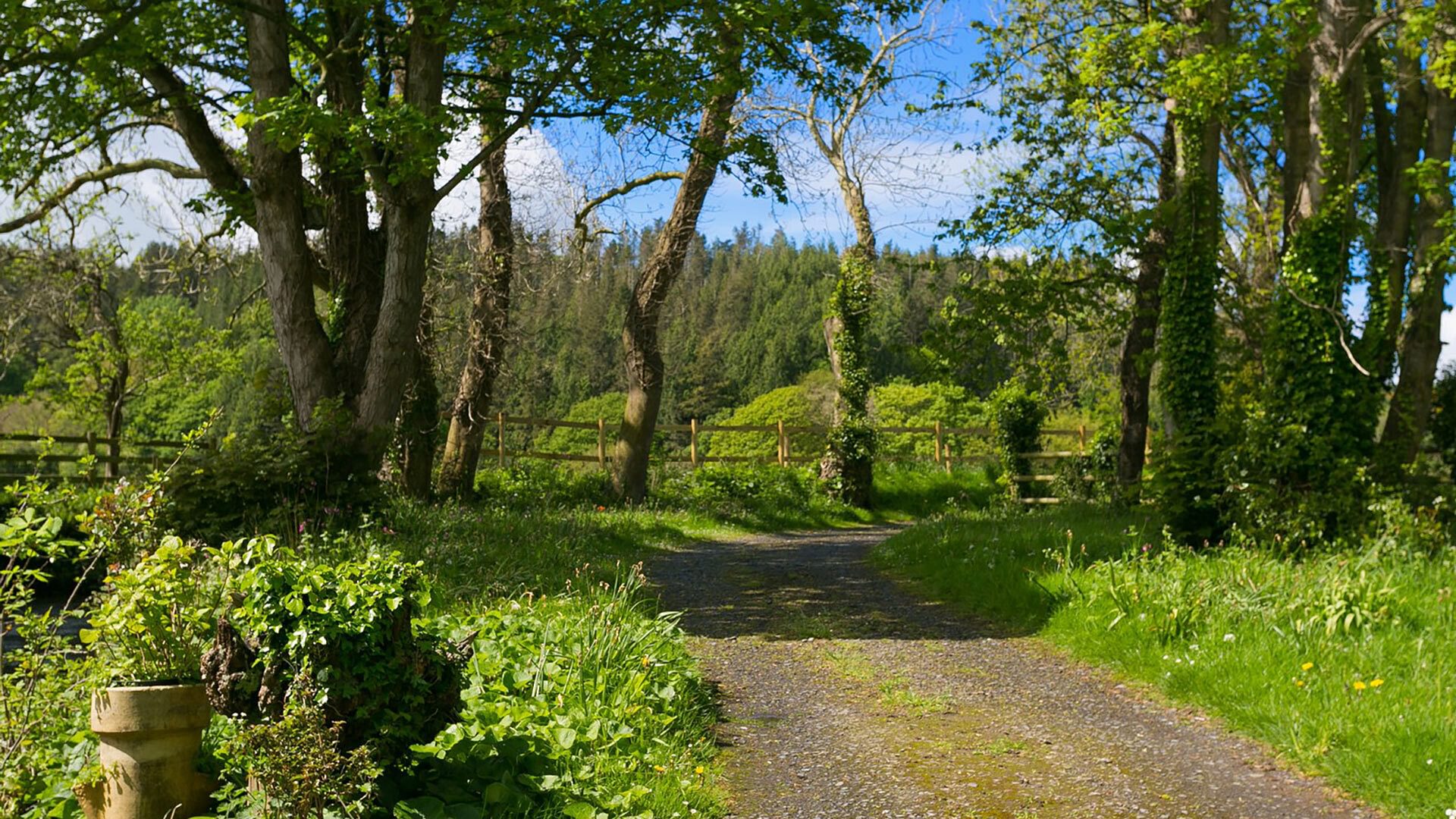 Plas Cichle Beaumaris Anglesey driveway 1920x1080