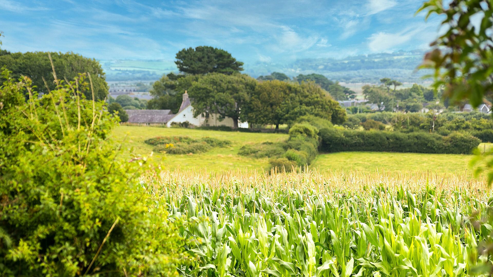 Tan Yr Allt Malltraeth Anglesey exterior rural view 2 1920x1080