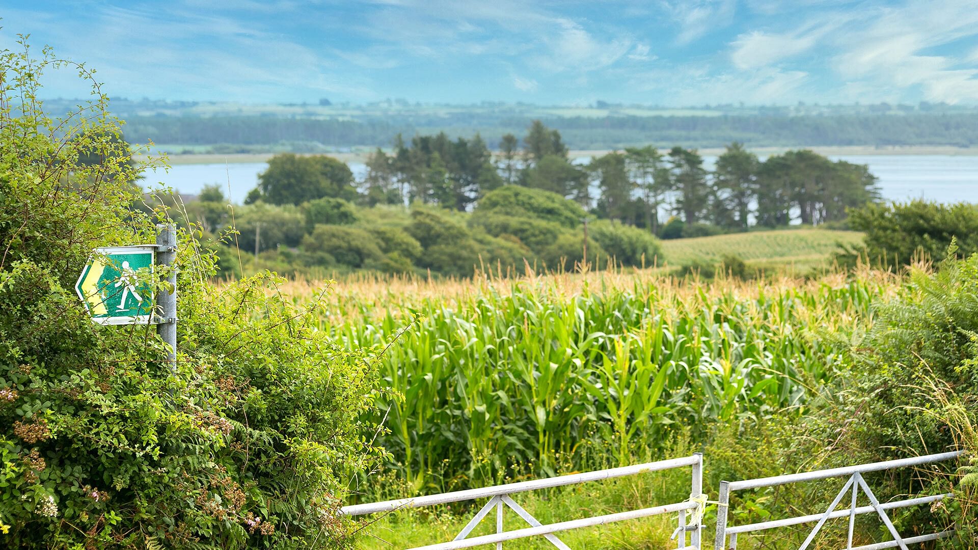 Tan Yr Allt Malltraeth Anglesey exterior rural view 3 1920x1080