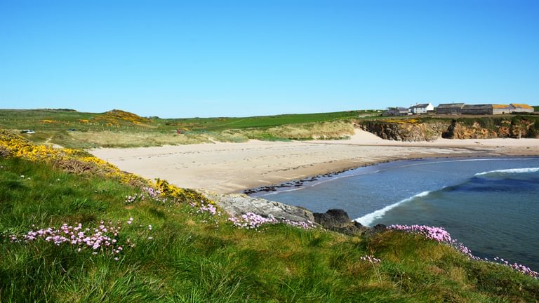 Trecastell ty Croes Anglesey LL655 TE beach 1920x1080