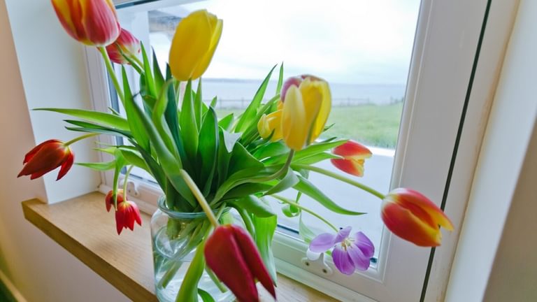 Tulips by the sea Ty Gwyn Llanddona Anglesey Boltholes and hideaways by the beach