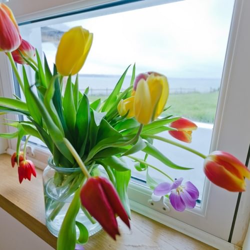 Tulips by the sea Ty Gwyn Llanddona Anglesey Boltholes and hideaways by the beach