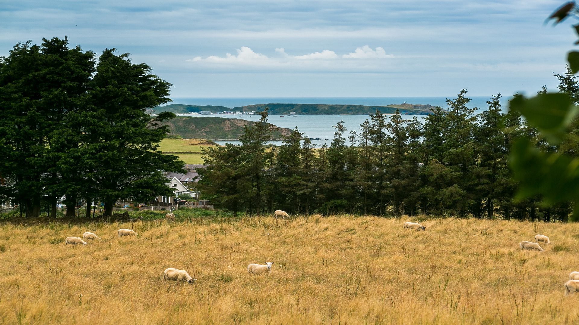 Ty Gan Y Mor Nefyn Pwllheli Gwynedd Nefyn Pwllheli LL53 6 LN sea 1920x1080