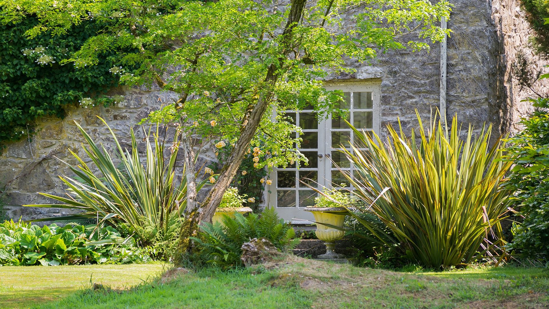 Ty Fry Manor rhoscefnhir Pentraeth Anglesey LL75 8 YT grasses 1920x1080