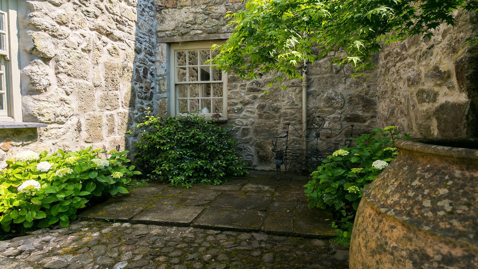 Ty Fry Manor rhoscefnhir Pentraeth Anglesey LL75 8 YT hydrangea 1920x1080