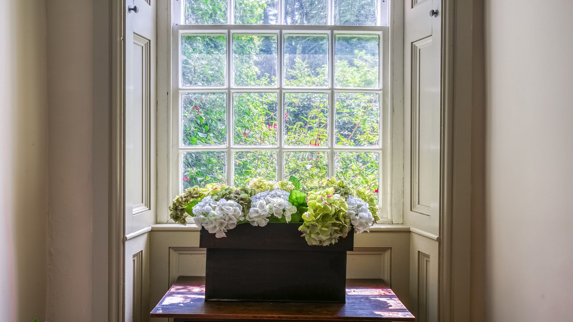 Ty Fry Manor rhoscefnhir Pentraeth Anglesey LL75 8 YT hydrangeas 1920x1080