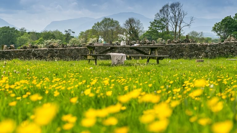 Ty Poeth Llanedwen Brynsciencyn Anglesey LL616 TT buttercups 1920x1080