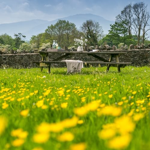 Ty Poeth Llanedwen Brynsciencyn Anglesey LL616 TT buttercups 1920x1080