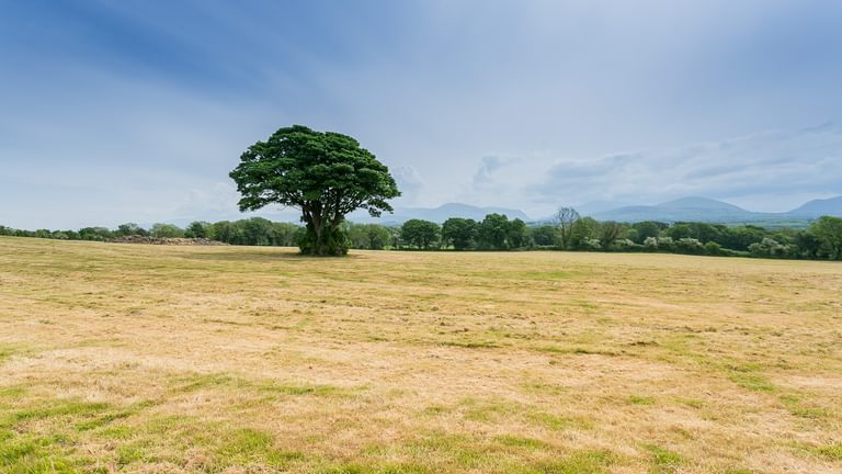 Ty Poeth Llanedwen Brynsciencyn Anglesey LL616 TT field tree 1920x1080