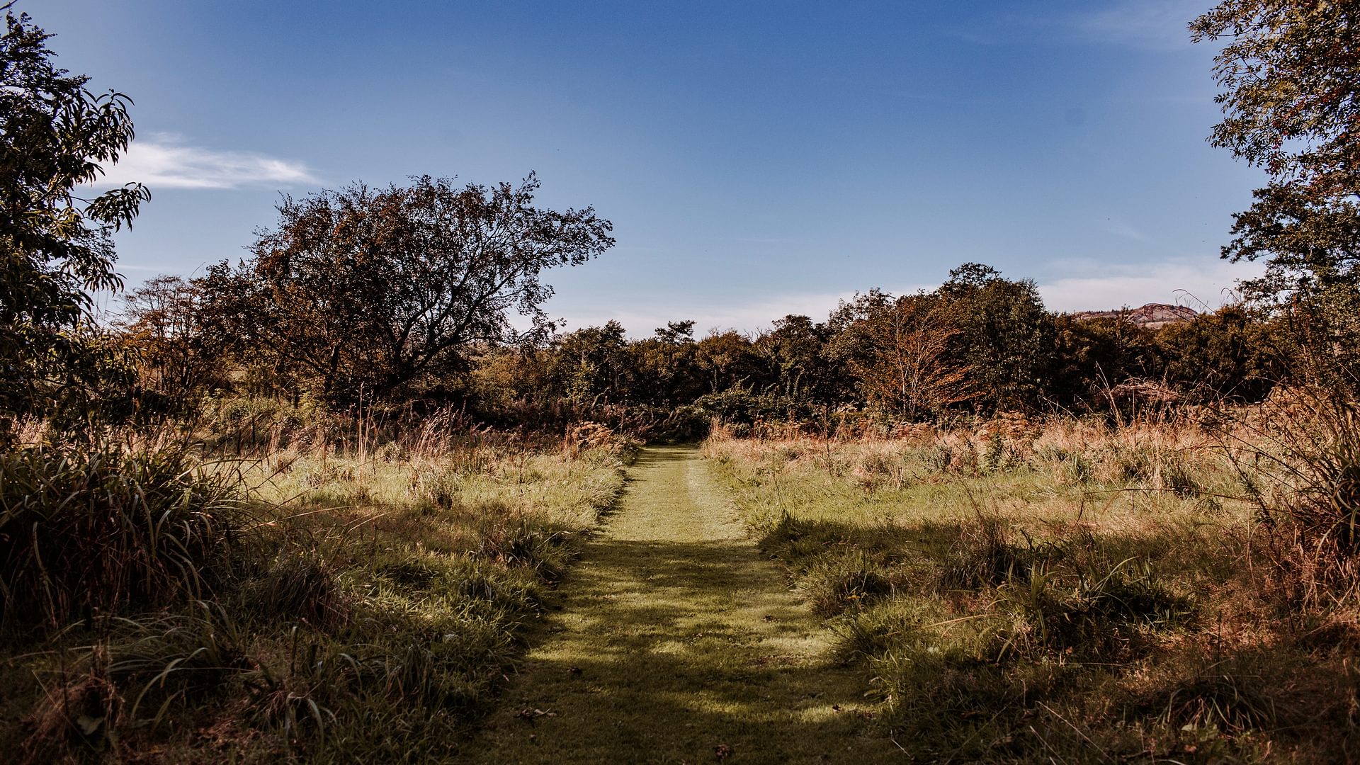 Tyddyn Llwydyn Rhydyclafdy Pwllheli Gwynedd LL538 TT path 1920x1080