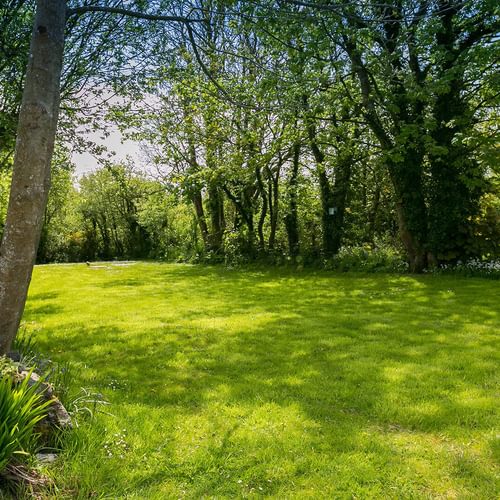Tyn Llidiart Bodorgan Anglesey garden 4 1920x1080