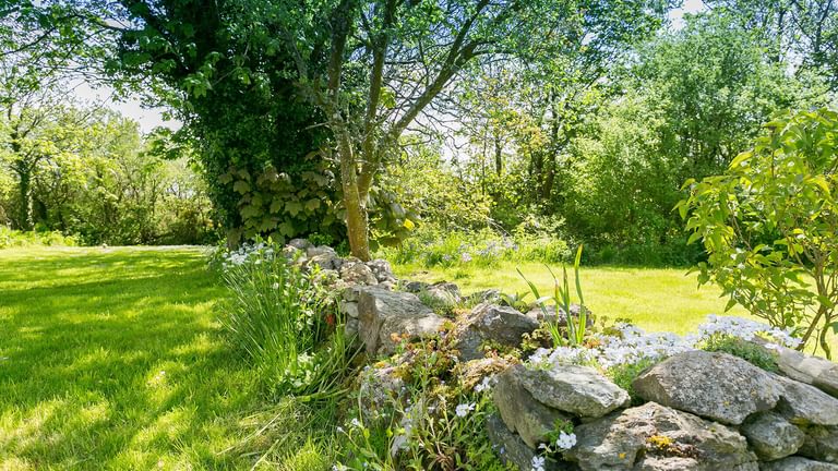 Tyn Llidiart Bodorgan Anglesey garden 1920x1080