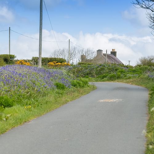 Tyn Llidiart Bodorgan Anglesey lane leading to cottage 1920x1080