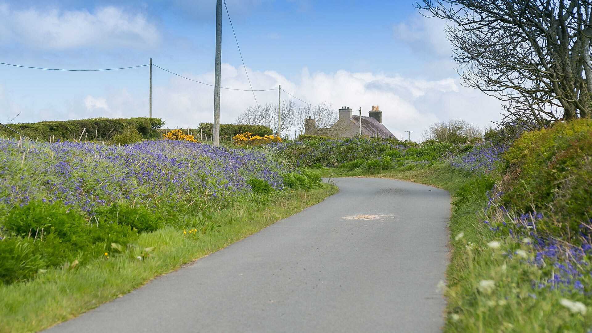 Tyn Llidiart Bodorgan Anglesey lane leading to cottage 1920x1080