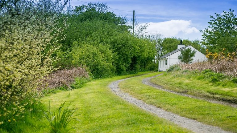 Tyn Llidiart Bodorgan Anglesey lane leading to cottage 3 1920x1080