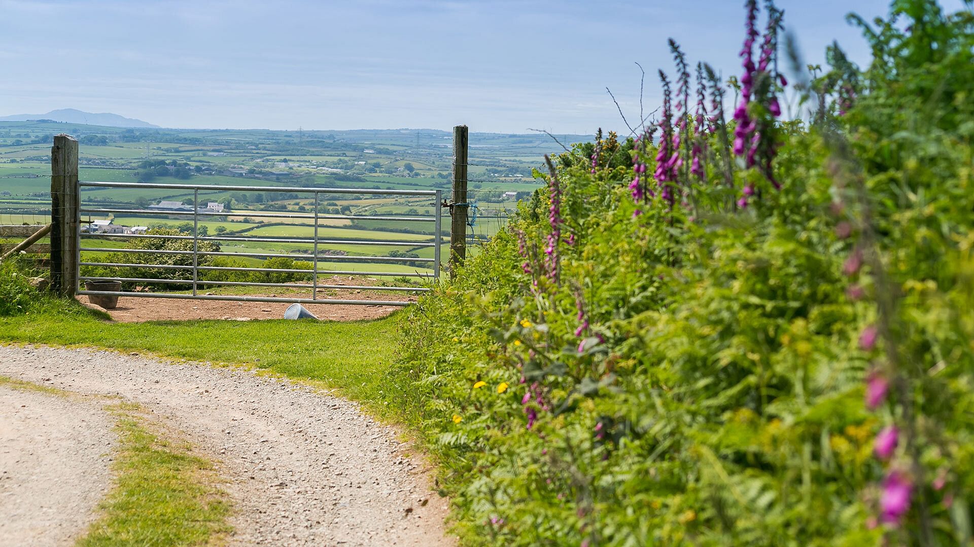 Ynys Hideout Lligwy Anglesey country lane 4 1920x1080