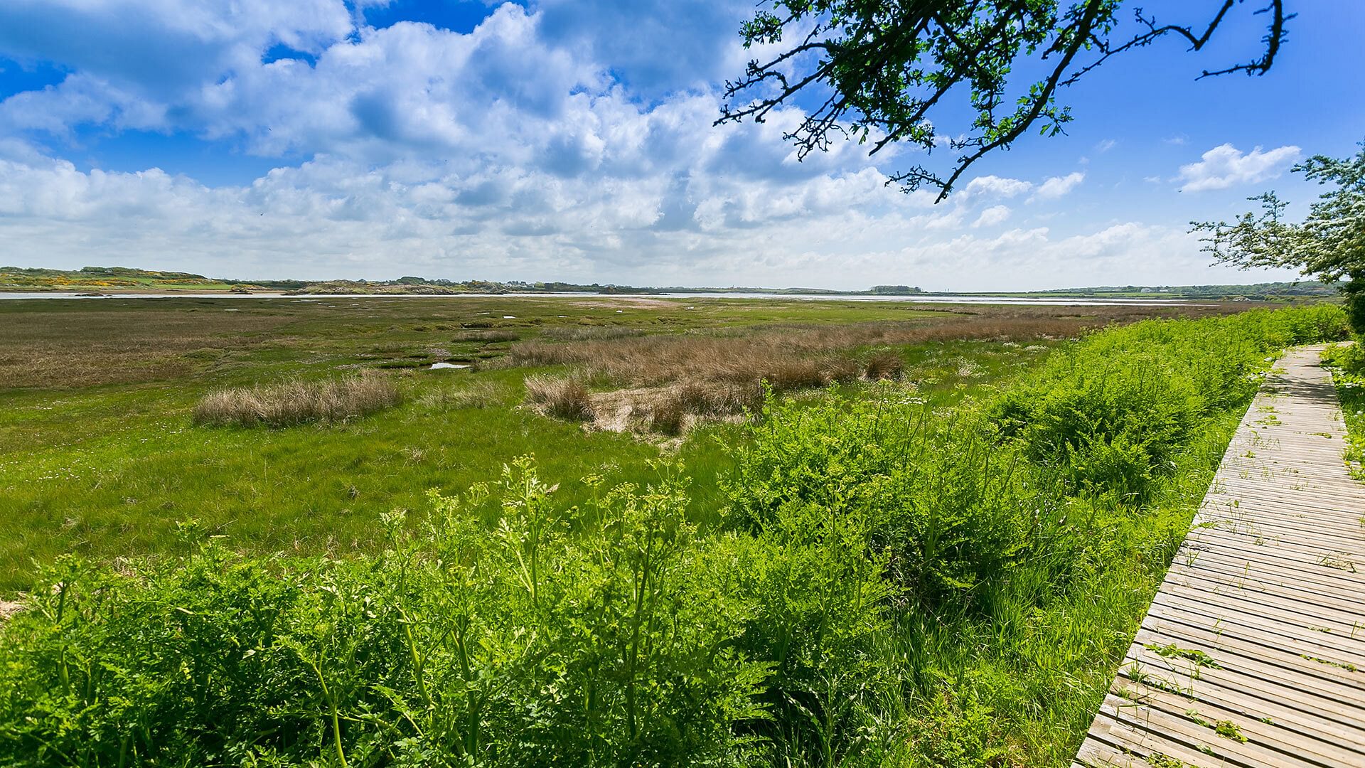 Ynys Las Rhoscolyn Anglesey boardwalk 1920x1080