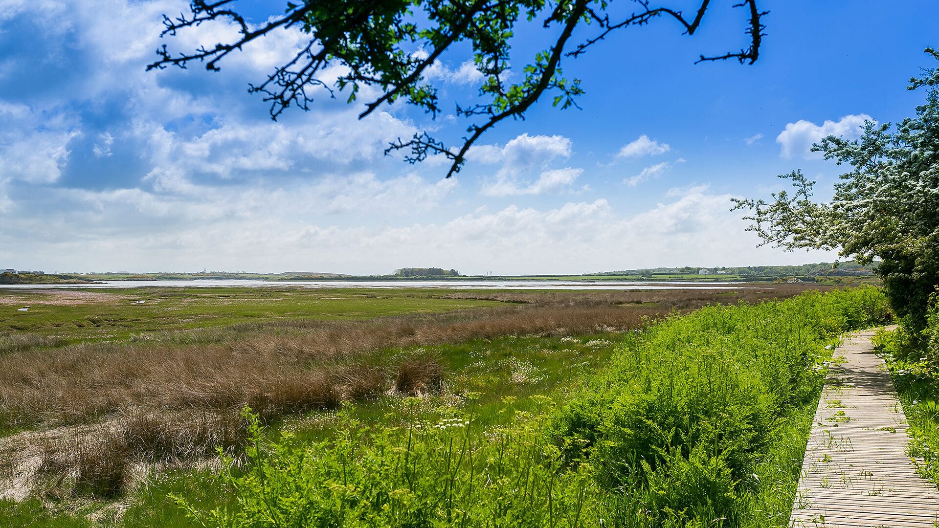 Ynys Las Rhoscolyn Anglesey boardwalk 2 1920x1080