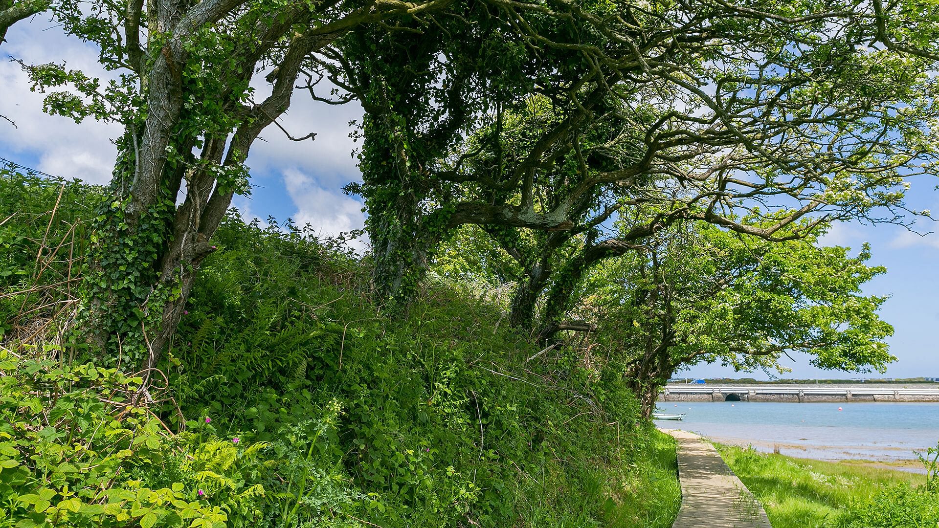 Ynys Las Rhoscolyn Anglesey boardwalk 3 1920x1080