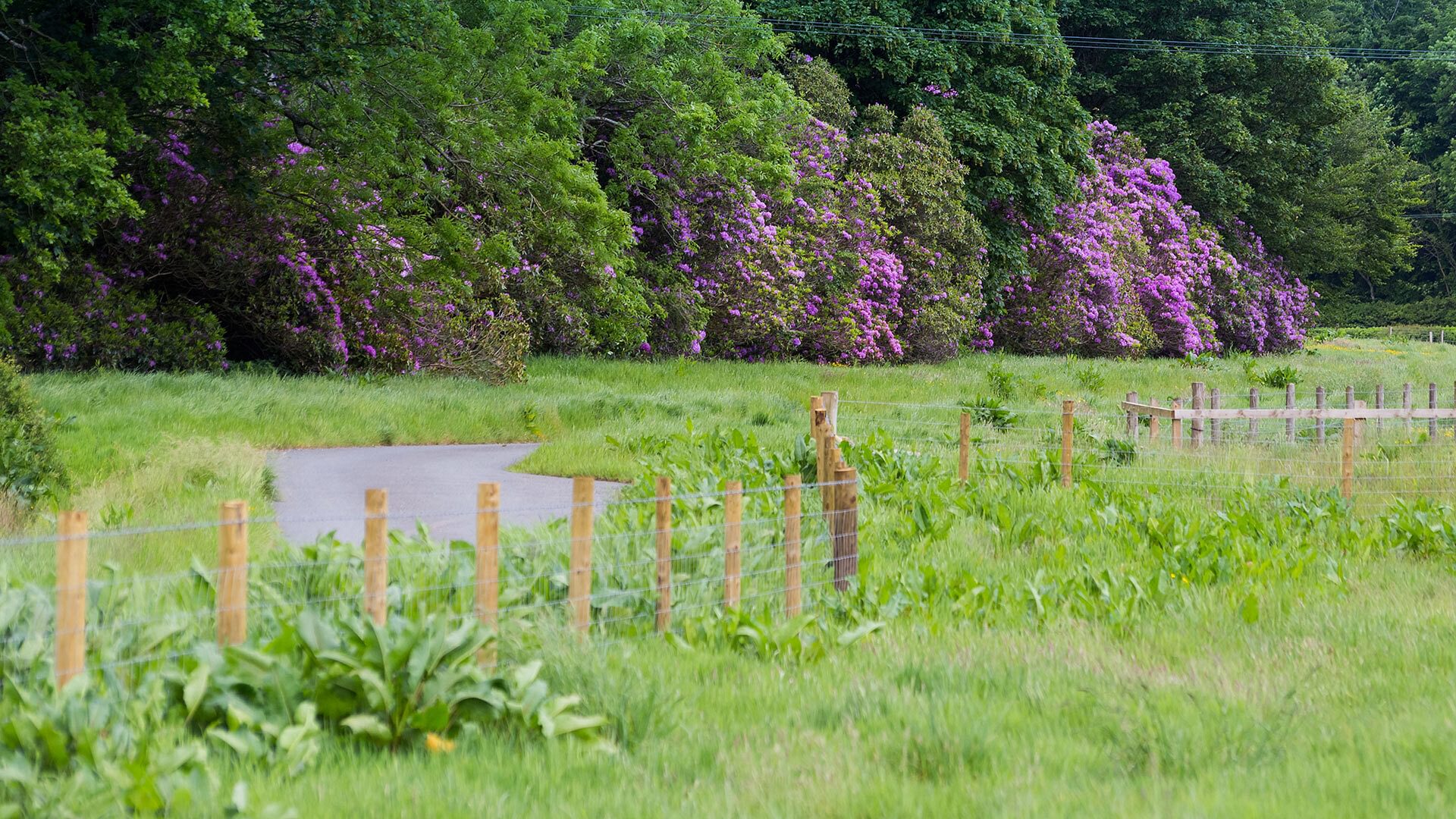 Ysgubor Wennol Brynsiencyn Anglesey grounds 1920x1080